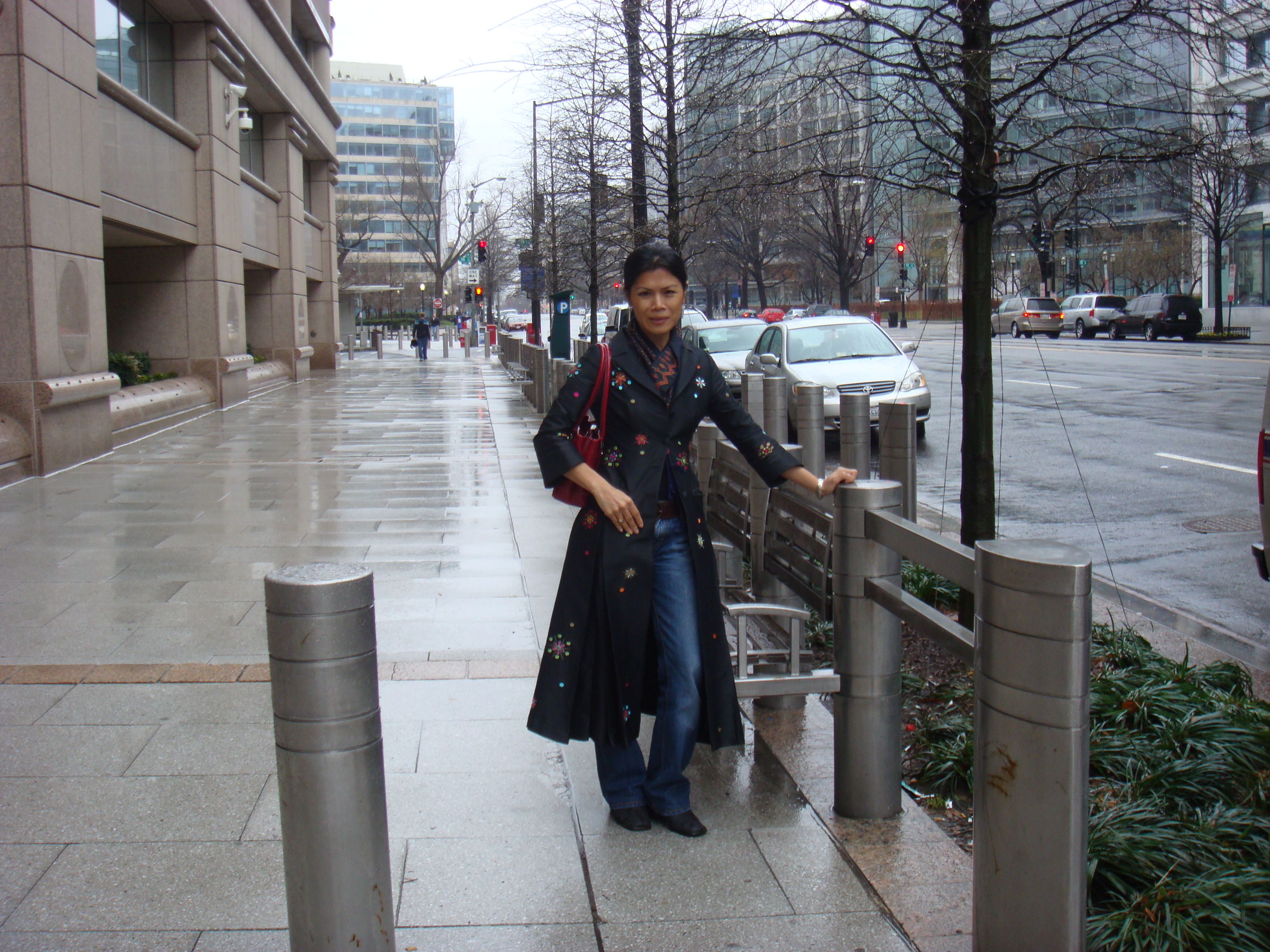 Theary Seng at International Finance Corp modeling Conceptual Site (Wash. DC, March 2010)