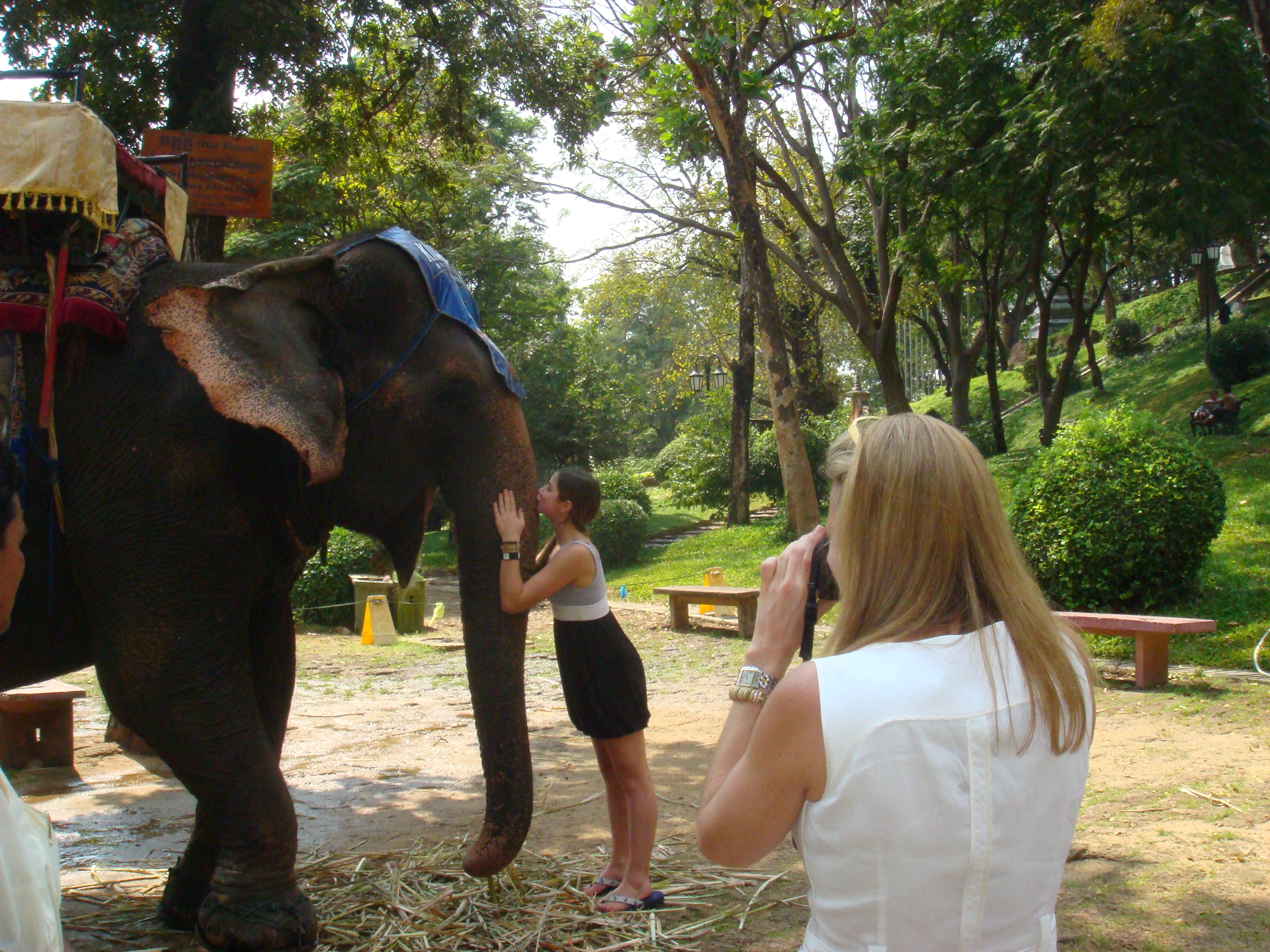 Micheala Kennedy Cuomo lavishing Sambo with kisses at Wat Phnom, 22 Feb. 2011
